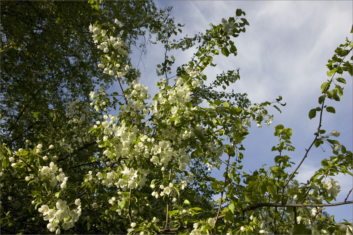 ��������.. ����� dedo ������. �� PhotoGeek.ru #������ ��� ������� #���������