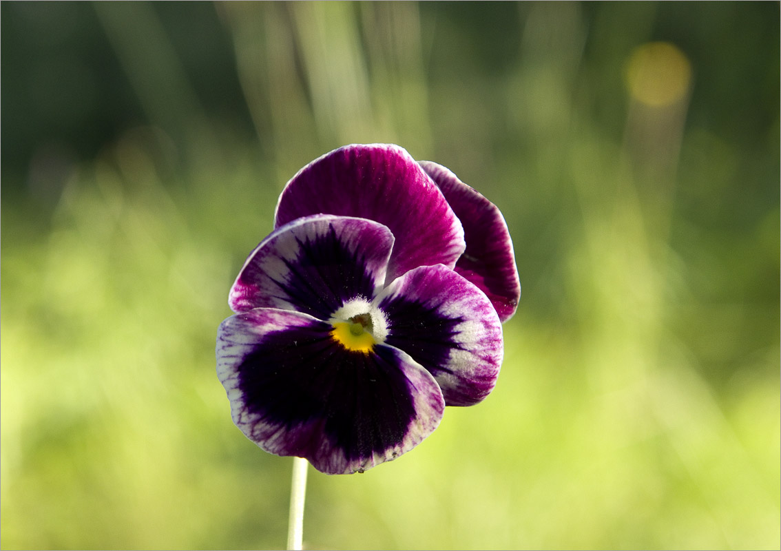 ... ����� dedo ������. �� PhotoGeek.ru #������ ��� ������� #���������