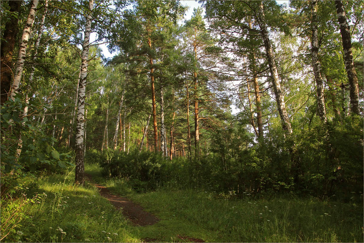 ������ �����. ����� dedo ������. �� PhotoGeek.ru #������ ��� ������� #���������