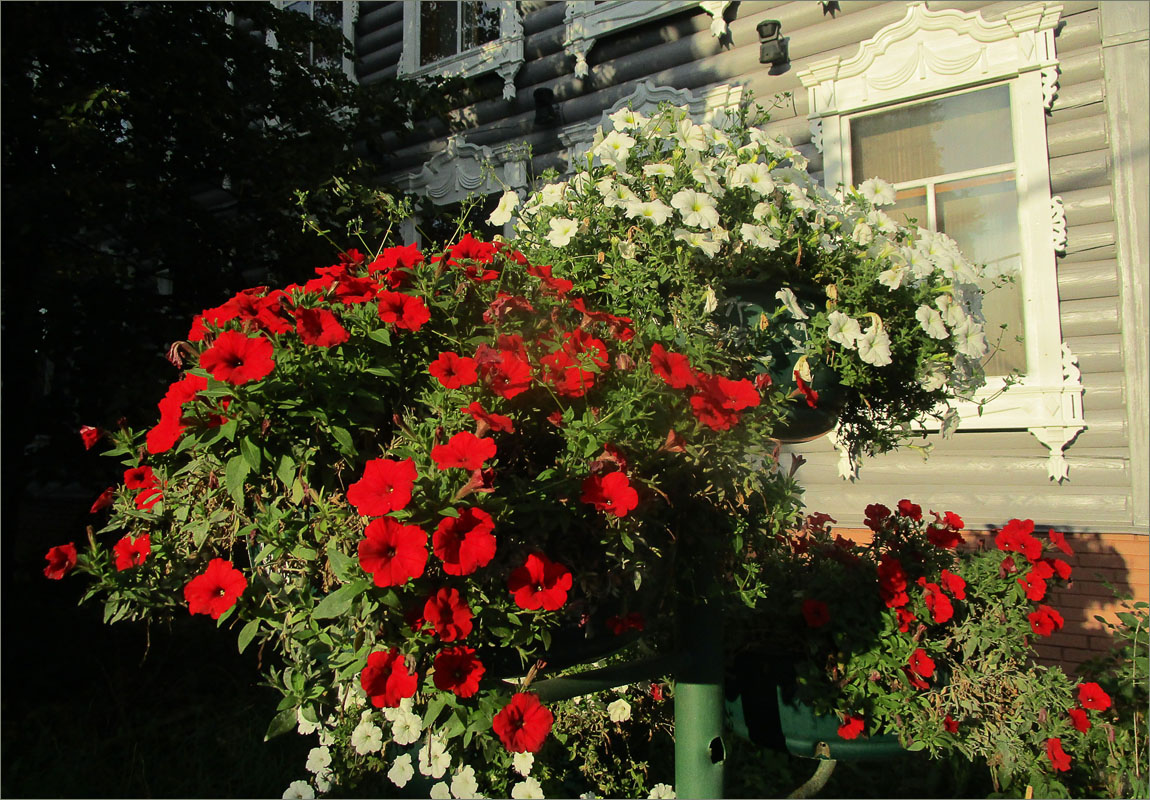 ... ����� dedo ������. �� PhotoGeek.ru #����� #��������� ������