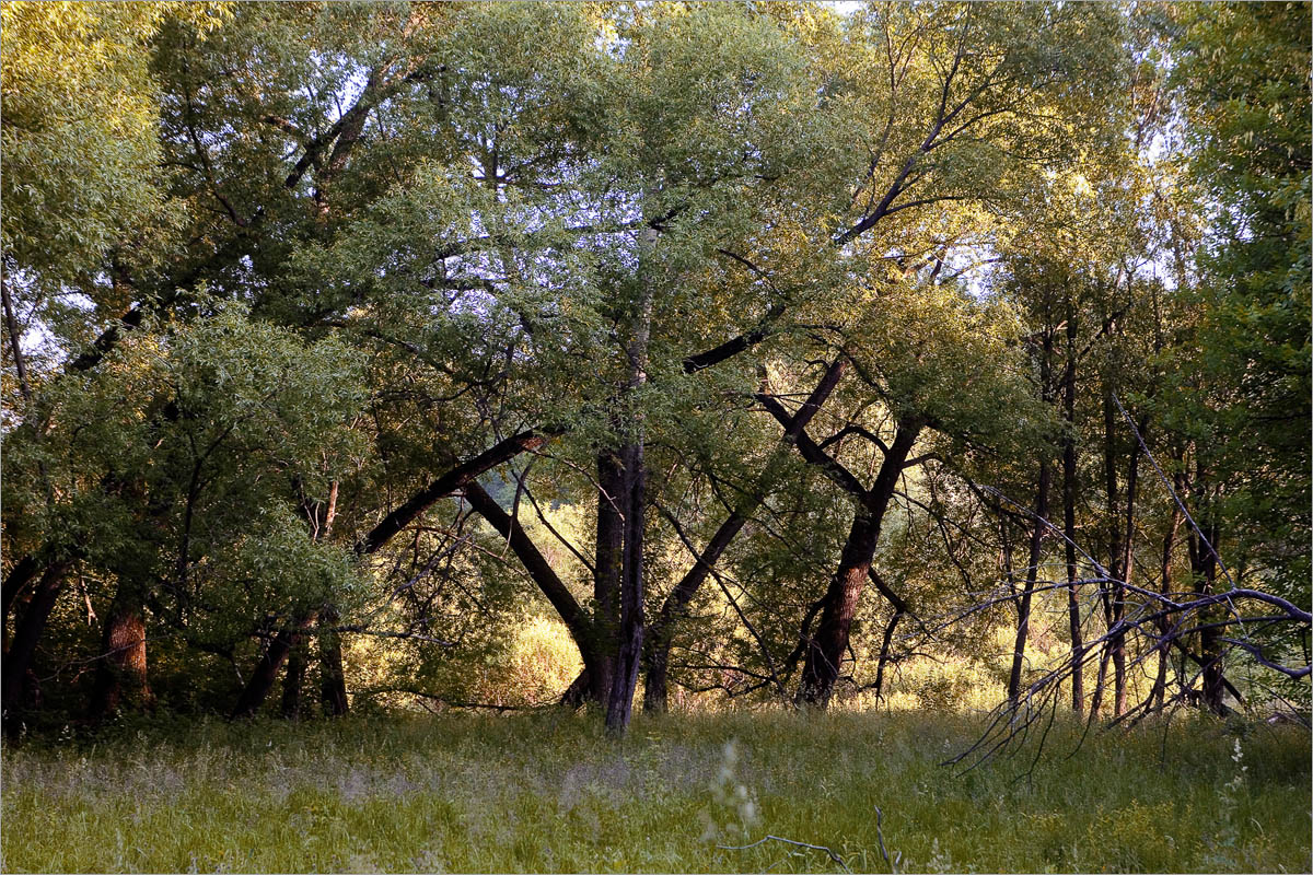 ��������... ����� dedo ������. �� PhotoGeek.ru #������ ��� ������� #���������