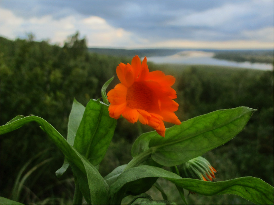 ��������... ����� dedo ������. �� PhotoGeek.ru #������ ��� ������� #���������