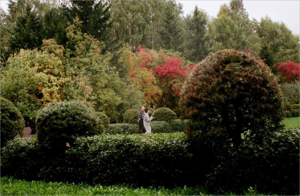 �������� ��������... ����� dedo ������. �� PhotoGeek.ru #������ ��� ������� #�������� ���������� #���������