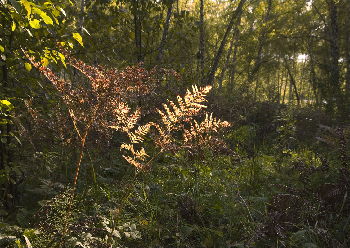 ��� � ����� ������... ����� dedo ������. �� PhotoGeek.ru #������ ��� ������� #����� �������������� #���������