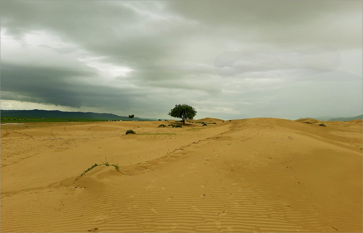 ��������..10 ����� dedo ������. �� PhotoGeek.ru #������ ��� ������� #���������