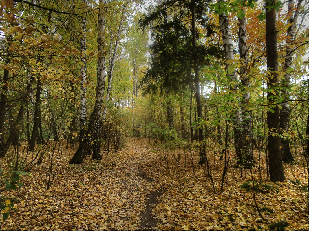 �������...6 ����� dedo ������. �� PhotoGeek.ru #������ ��� ������� #���������