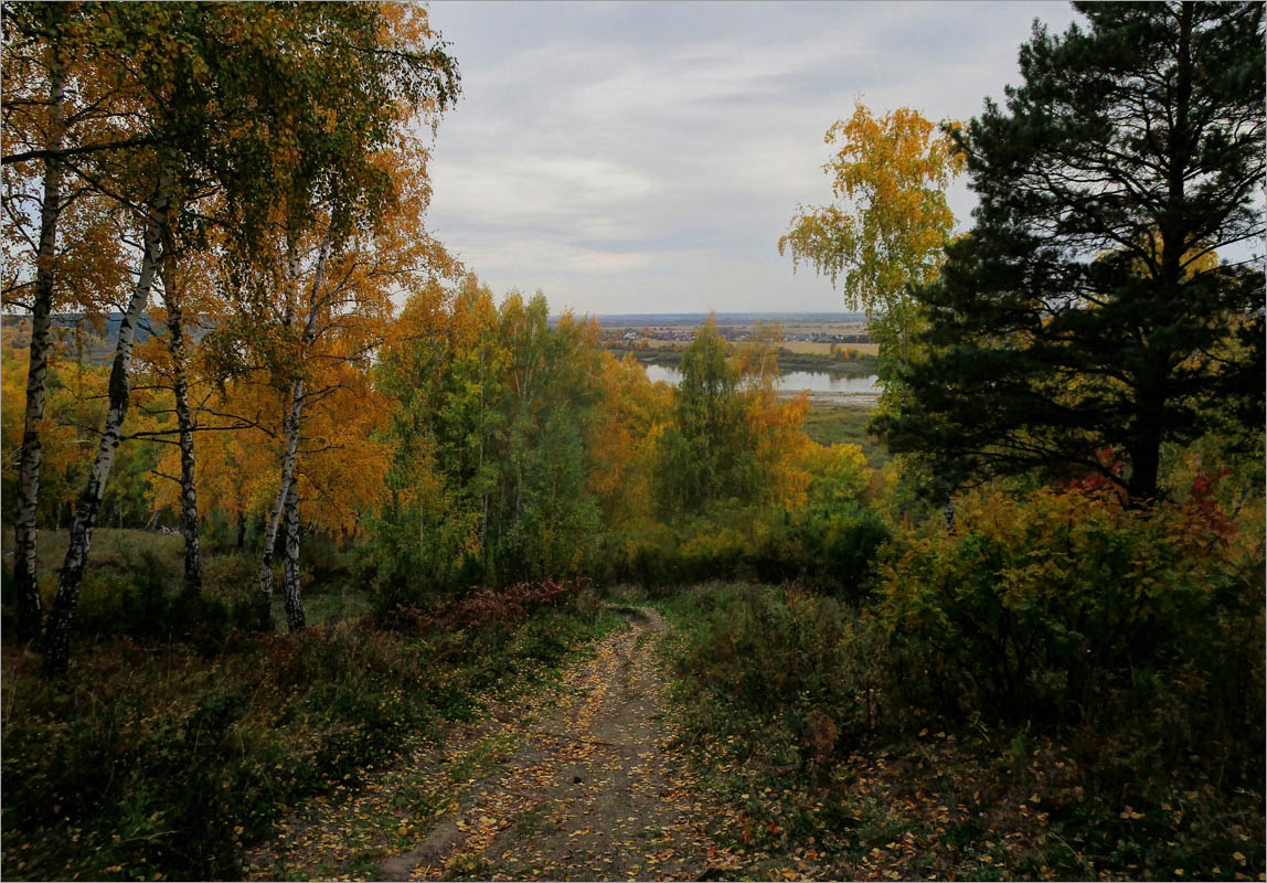 ������� ����������..7 ����� dedo ������. �� PhotoGeek.ru #������ ��� ������� #���������