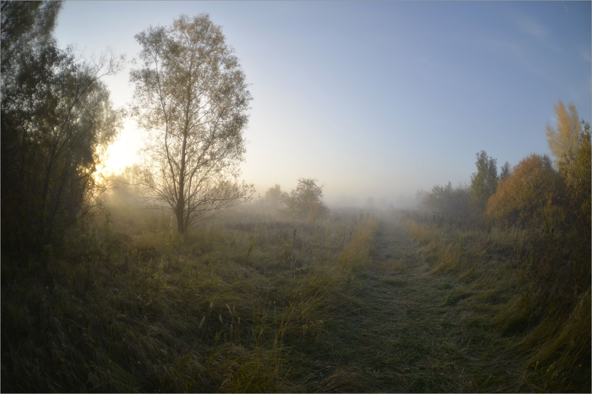 ������ ����.3 ����� dedo ������. �� PhotoGeek.ru #������ ��� ������� #���������