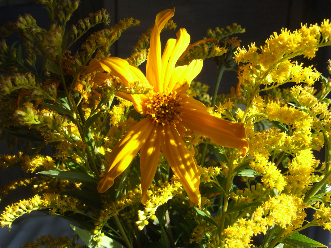 �����... ����� dedo ������. �� PhotoGeek.ru #��������� #���������������