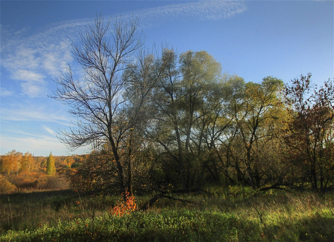 ������� ��������..11 ����� dedo ������. �� PhotoGeek.ru #������ ��� ������� #���������