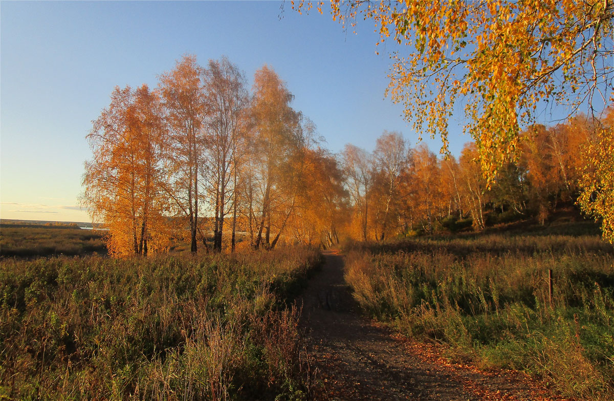 ������� ��������..12 ����� dedo ������. �� PhotoGeek.ru #������ ��� ������� #���������