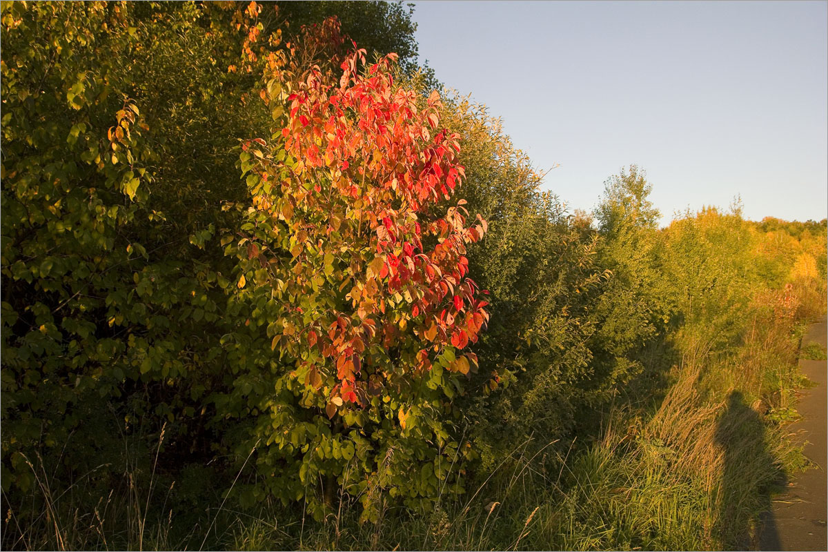 �����... ����� dedo ������. �� PhotoGeek.ru #������ ��� ������� #����� ��������������
