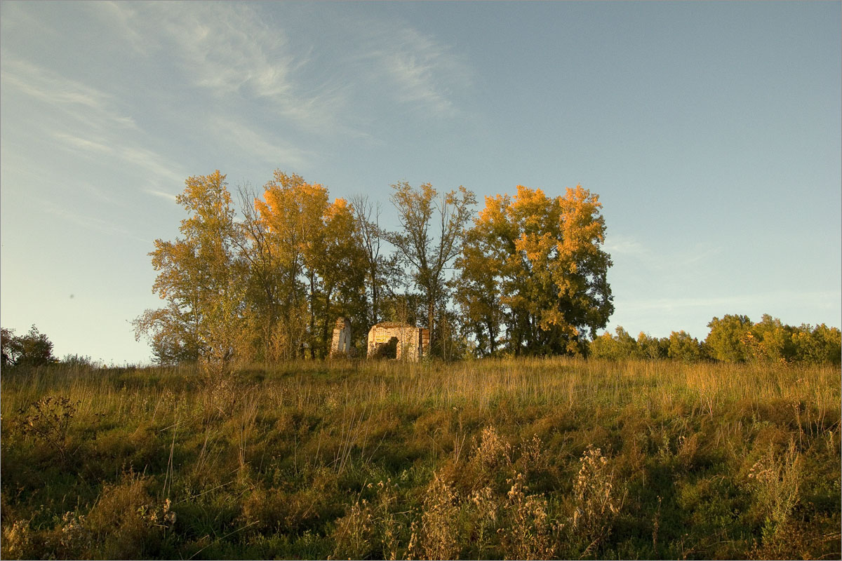 ������� ��������..11 ����� dedo ������. �� PhotoGeek.ru #������ ��� ������� #���������