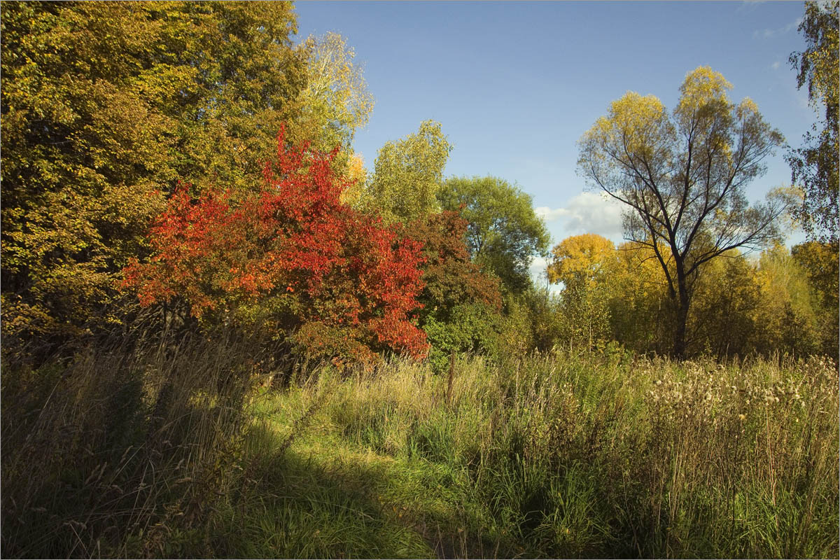 ������� ����������.. ����� dedo ������. �� PhotoGeek.ru #������ ��� �������