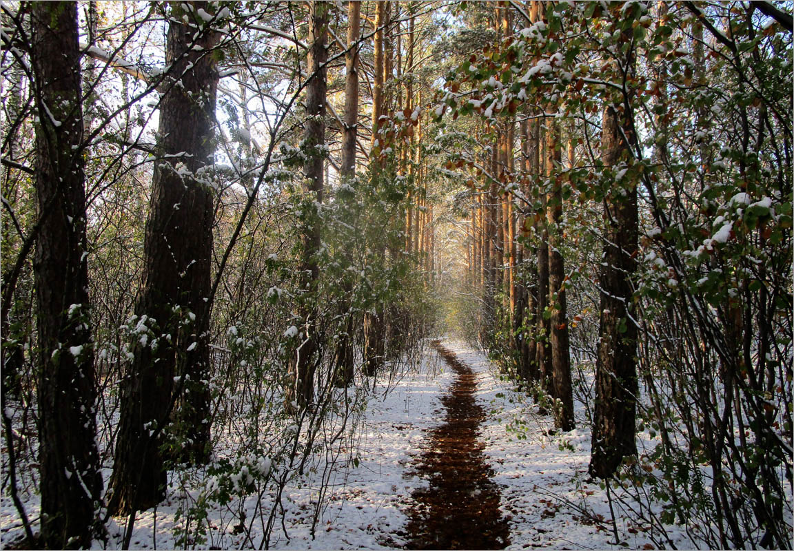 ���� ���������... ����� dedo ������. �� PhotoGeek.ru #������ ��� ������� #���������