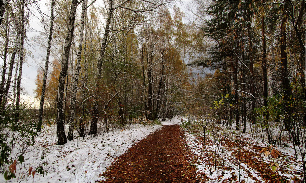 ���� ���������...2 ����� dedo ������. �� PhotoGeek.ru #������ ��� ������� #���������