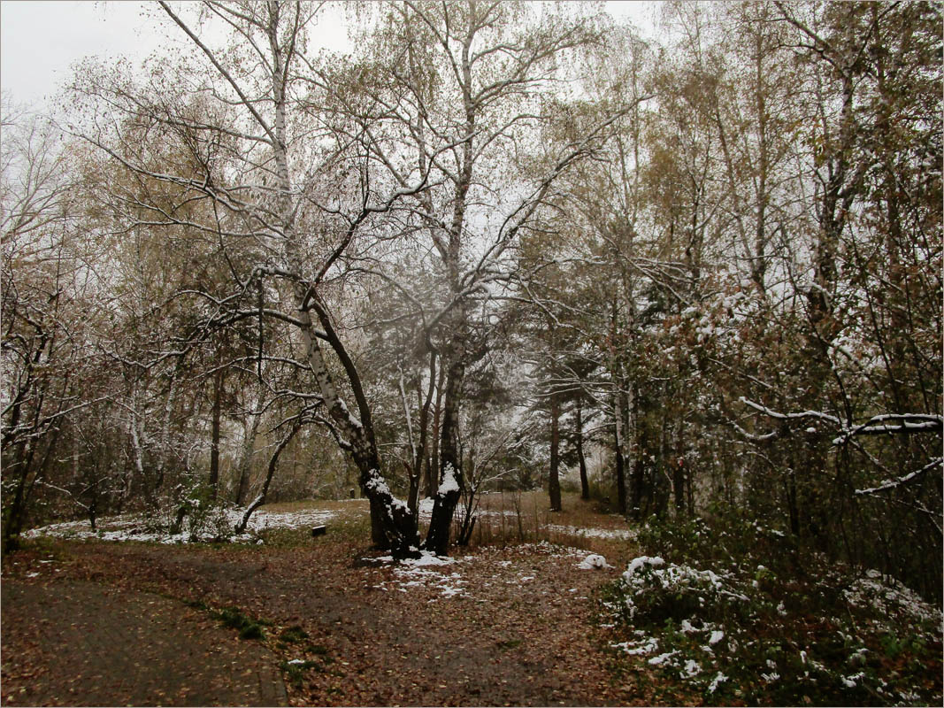 ���� ���������...3 ����� dedo ������. �� PhotoGeek.ru #������ ��� ������� #���������