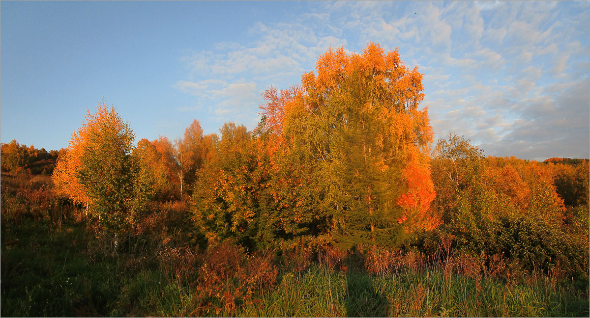 ������� ����������.. ����� dedo ������. �� PhotoGeek.ru #������ ��� ������� #���������