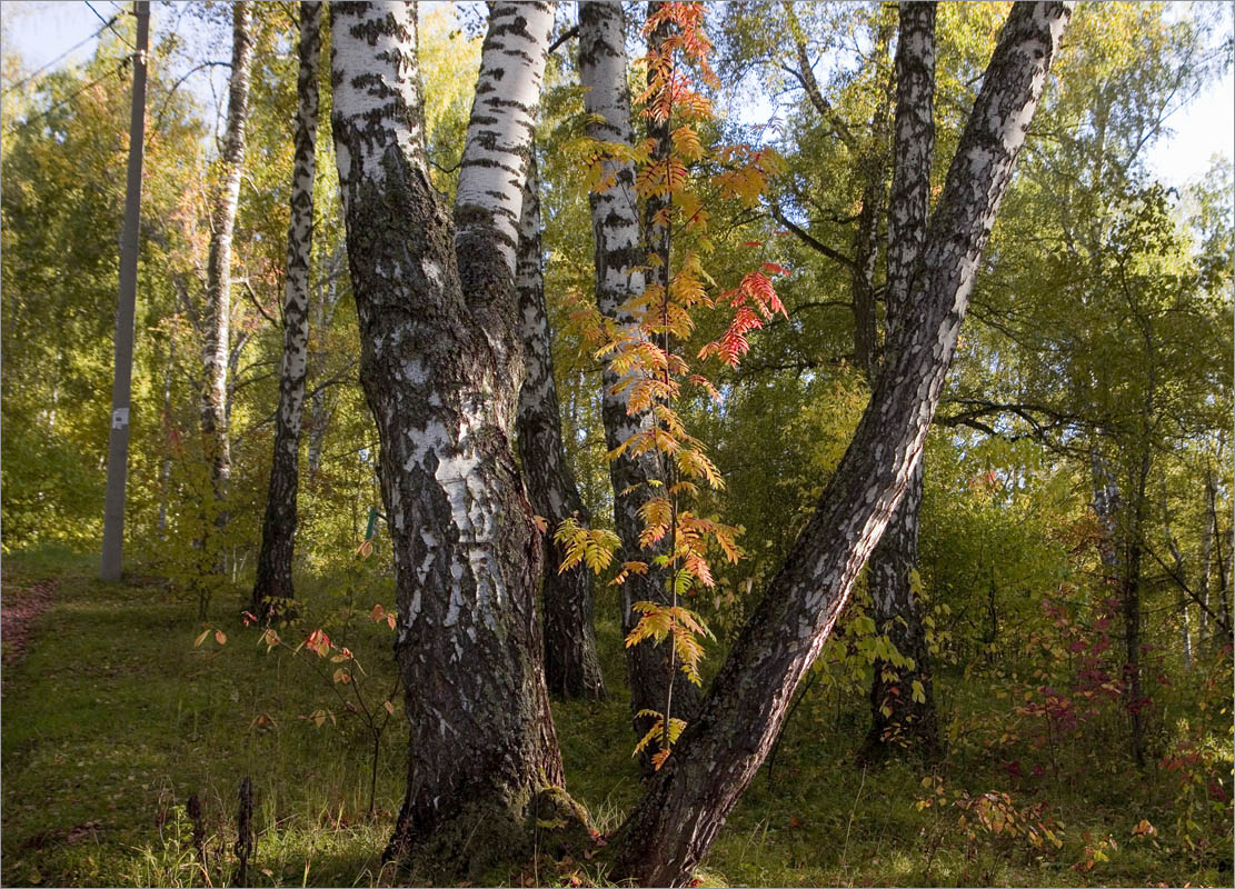 ������� ����������.. ����� dedo ������. �� PhotoGeek.ru #������ ��� �������