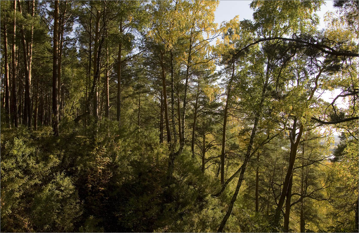 ������� ����������.. ����� dedo ������. �� PhotoGeek.ru #������ ��� ������� #���������