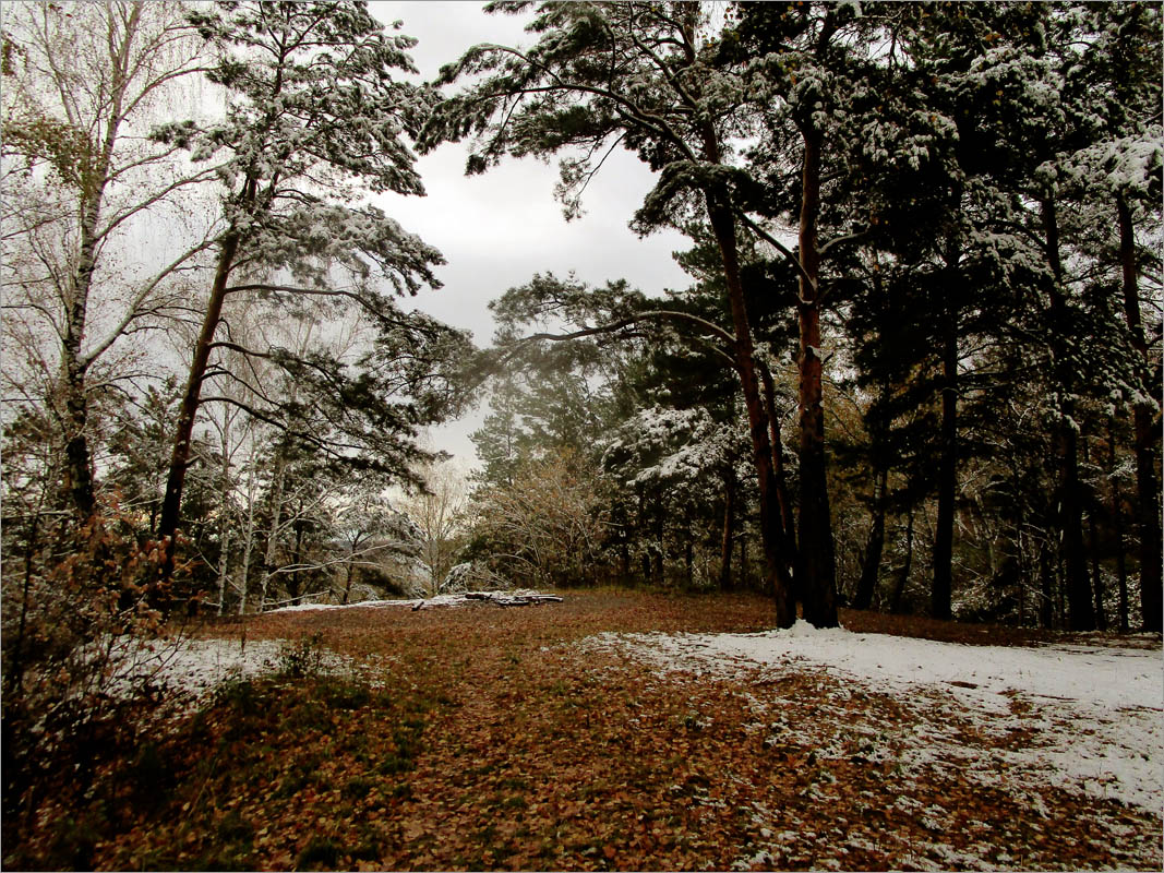 ���� ��� ������..3 ����� dedo ������. �� PhotoGeek.ru #������ ��� ������� #���������