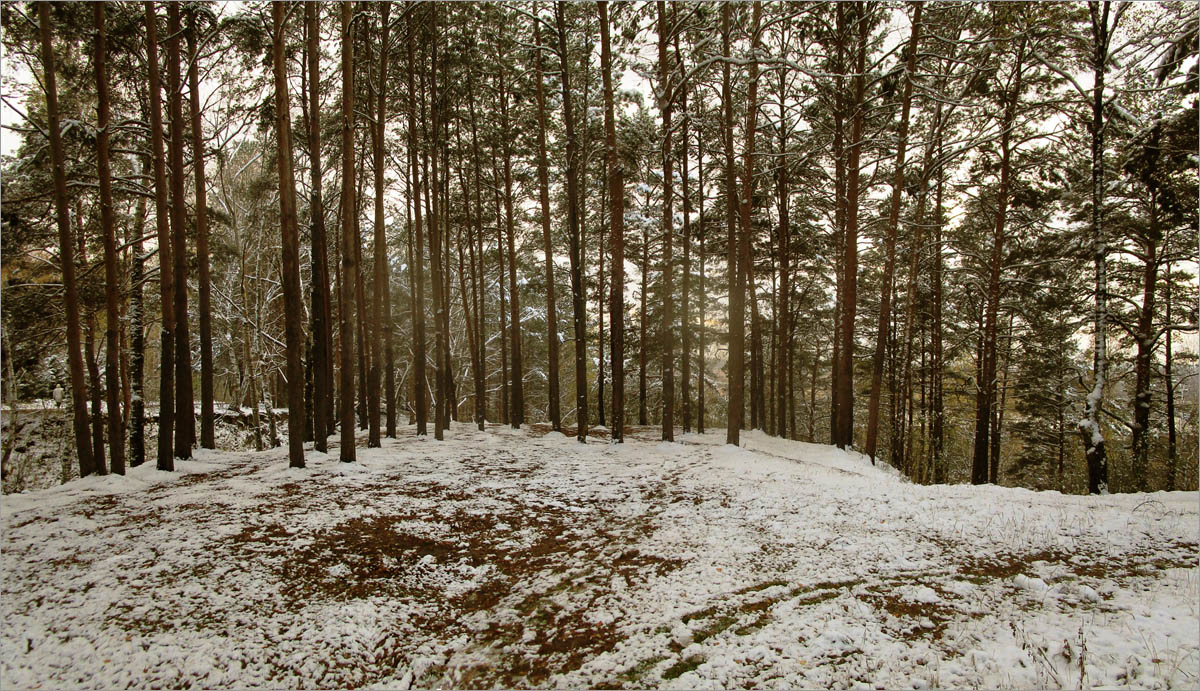 ���� ��� ������..4 ����� dedo ������. �� PhotoGeek.ru #������ ��� ������� #���������