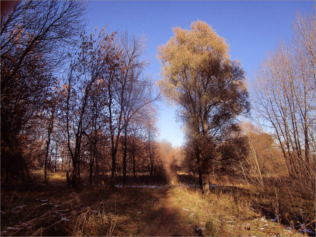 ������� ����������..12 ����� dedo ������. �� PhotoGeek.ru #������ ��� ������� #���������