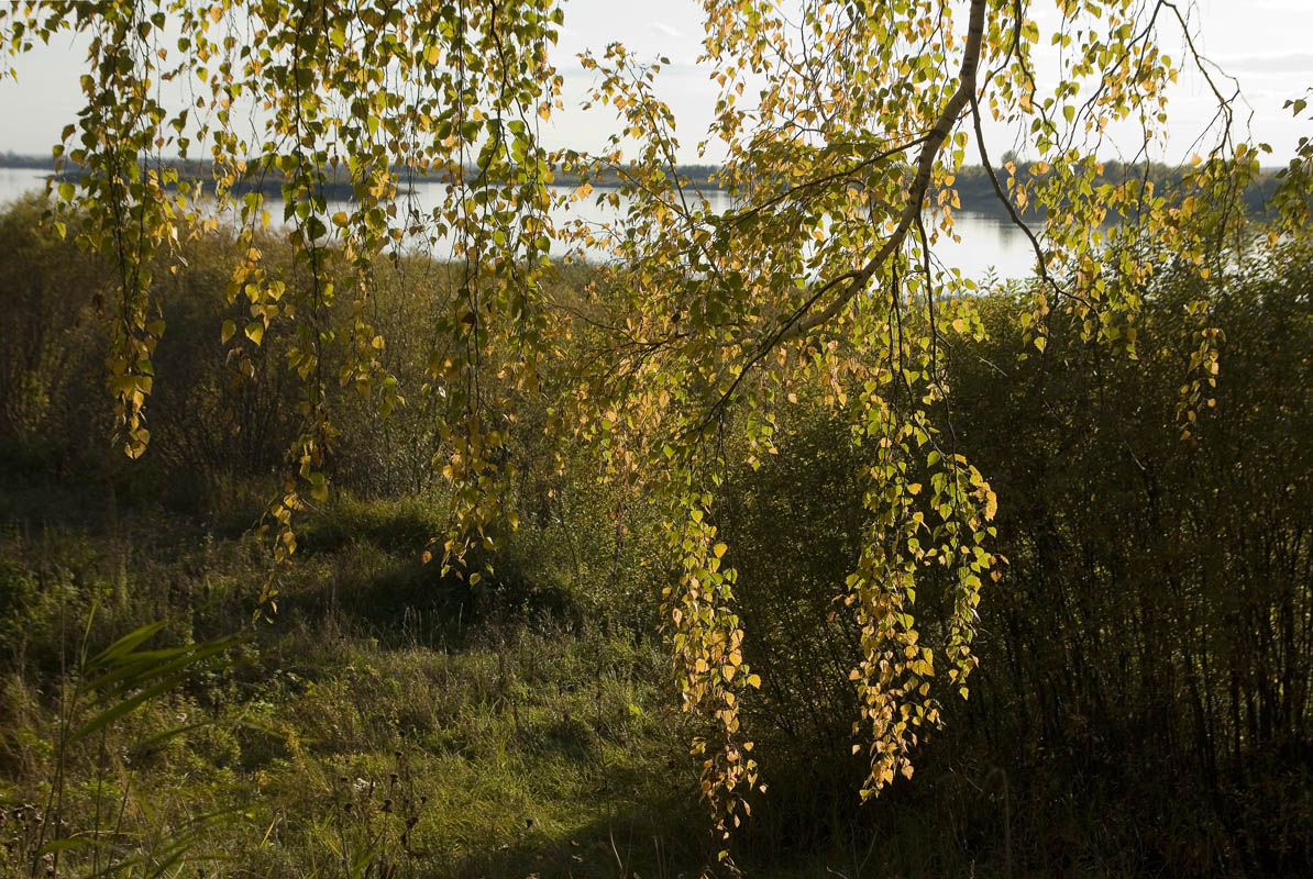 ������� ����������..14 ����� dedo ������. �� PhotoGeek.ru #������ ��� ������� #���������