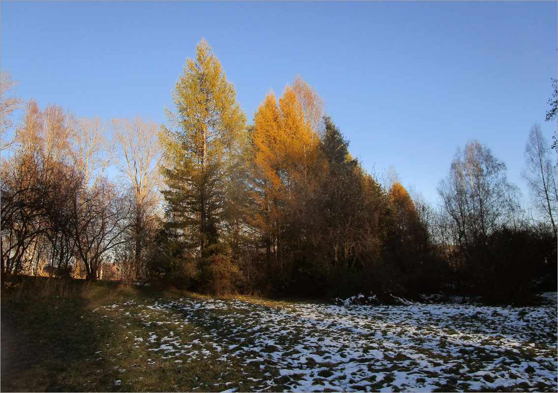 �����... ����� dedo ������. �� PhotoGeek.ru #������ ��� ������� #���������