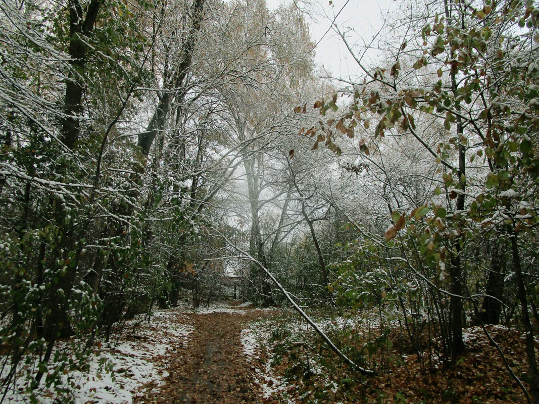 ������� �����..6 ����� dedo ������. �� PhotoGeek.ru #������ ��� ������� #���������