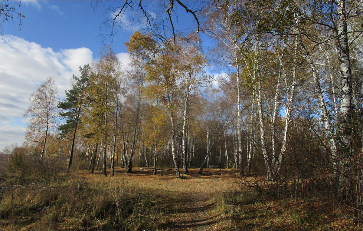 ������� ��������.9 ����� dedo ������. �� PhotoGeek.ru #������ ��� ������� #���������