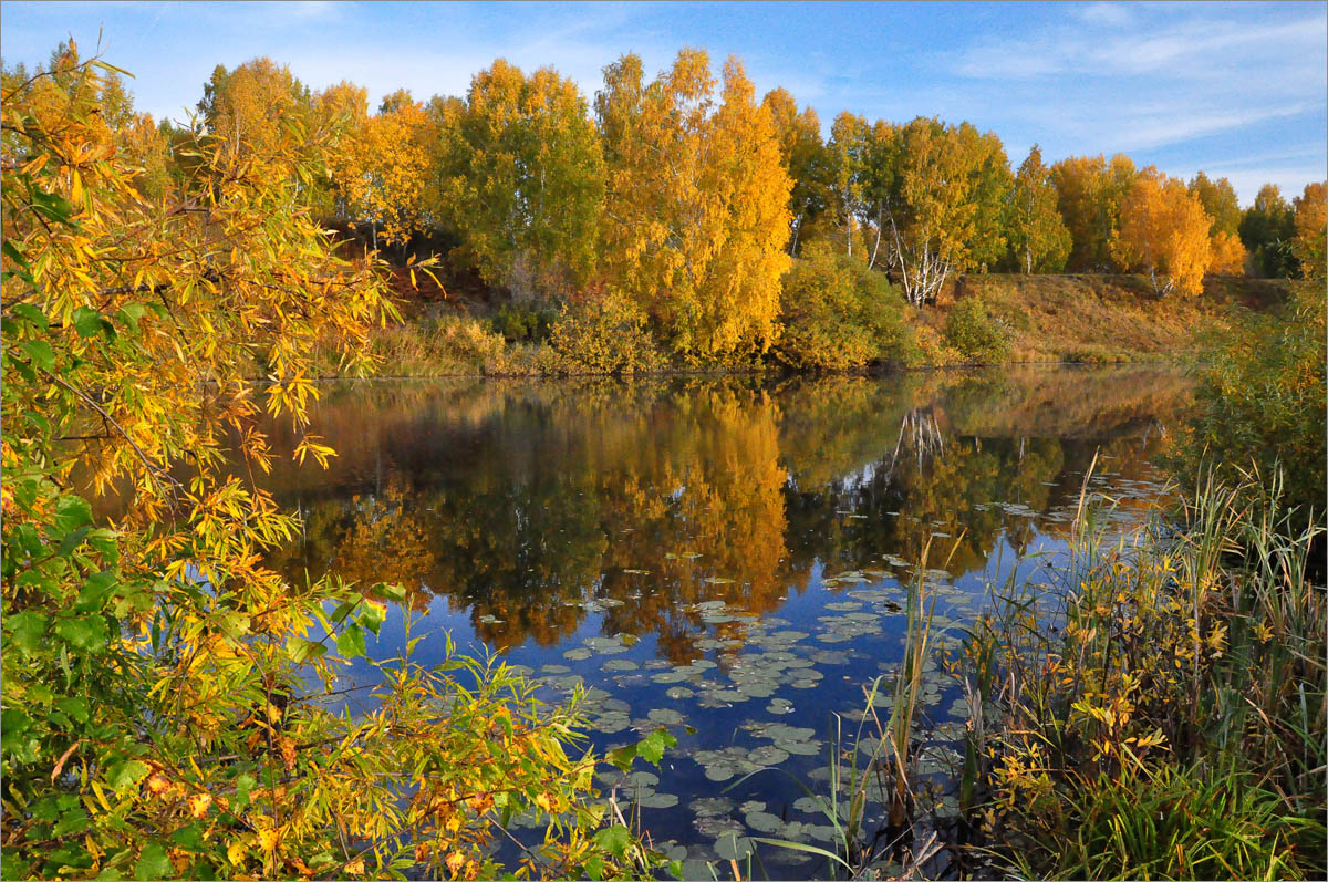 ������� ����������.. ����� dedo ������. �� PhotoGeek.ru #������ ��� ������� #���������