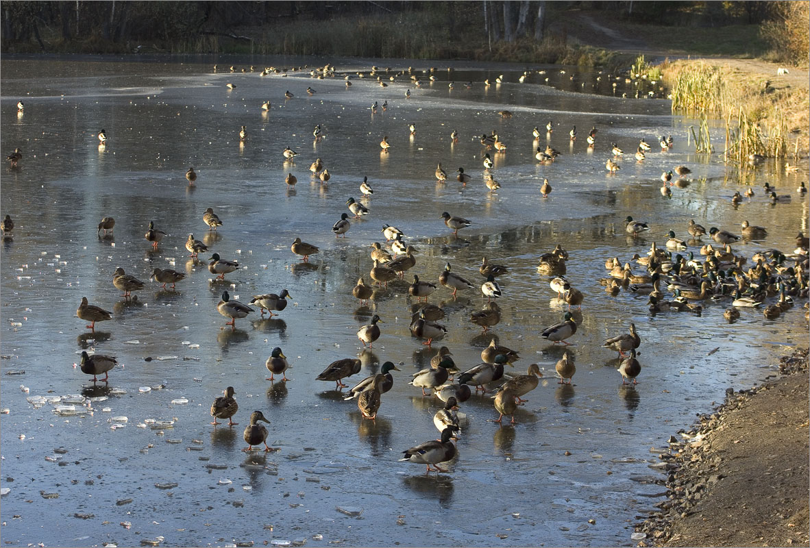 ��� � ����� � ���� ���������� ... ����� dedo ������. �� PhotoGeek.ru #�������� ���