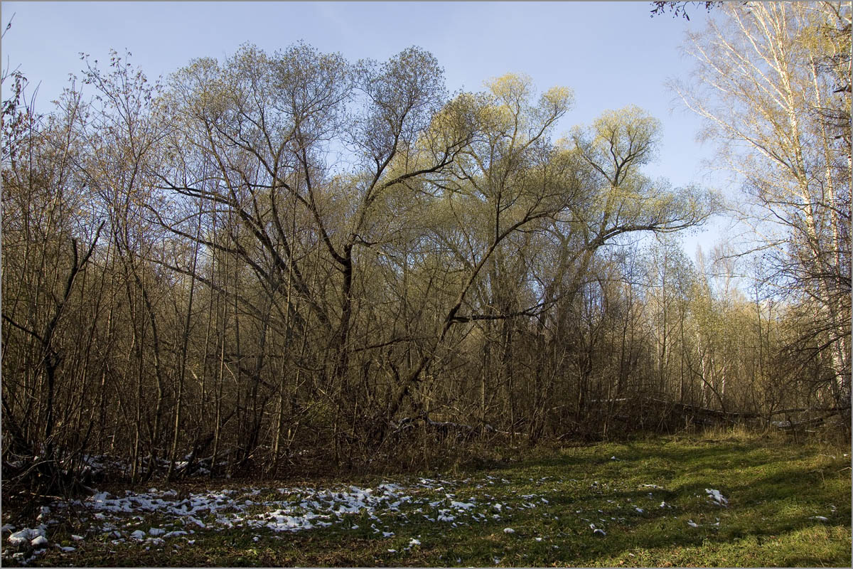 ������� �����..6 ����� dedo ������. �� PhotoGeek.ru #������ ��� ������� #���������