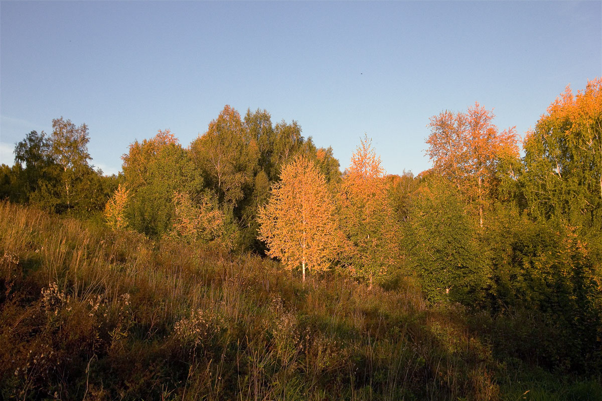 ������� ����������.. ����� dedo ������. �� PhotoGeek.ru #������ ��� ������� #���������