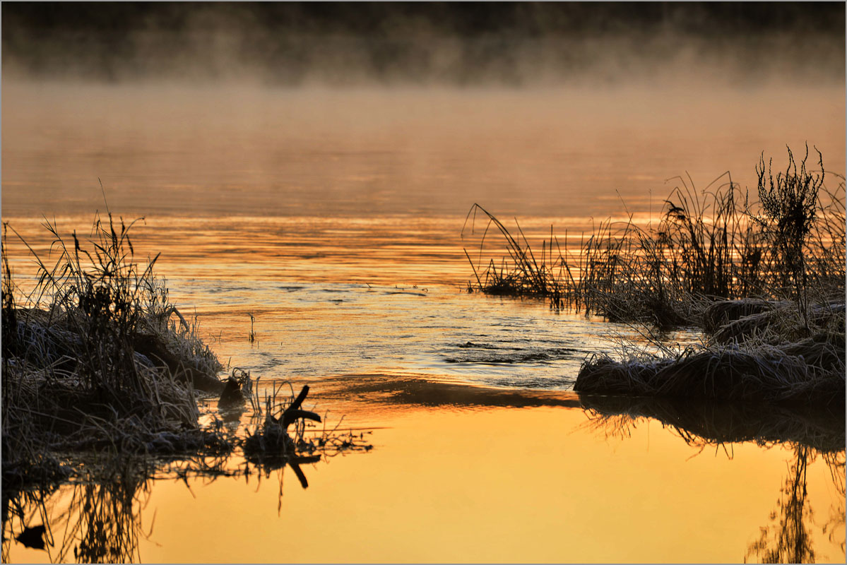 ������  ���������..4 ����� dedo ������. �� PhotoGeek.ru #������ ��� ������� #���������