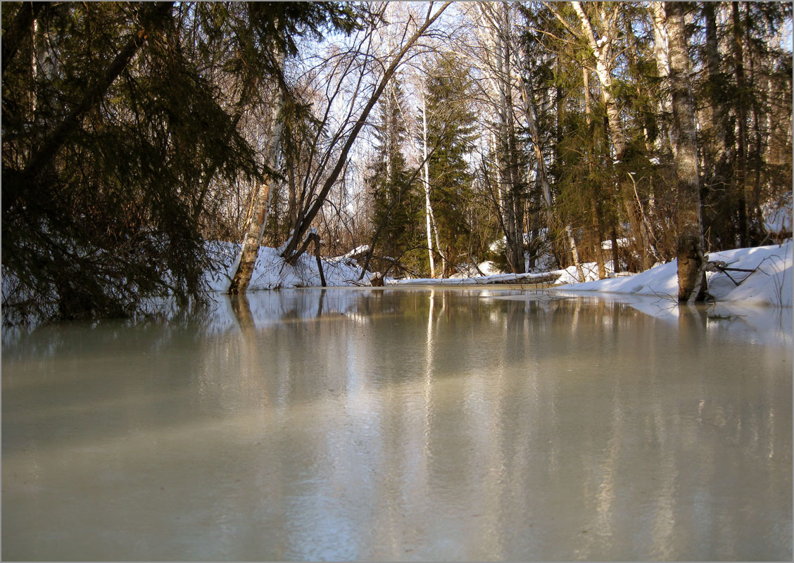 ������ ����... ����� dedo ������. �� PhotoGeek.ru #������ ��� ������� #���������