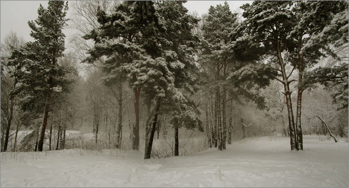 ������ ����.7 ����� dedo ������. �� PhotoGeek.ru #������ ��� ������� #���������