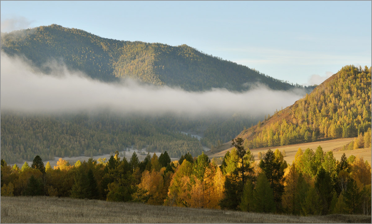 ������� ����� dedo ������. �� PhotoGeek.ru #������ ��� ������� #���������