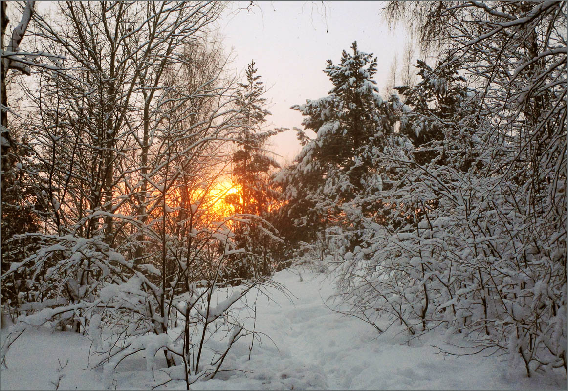 ������ ������... ����� dedo ������. �� PhotoGeek.ru #������ ��� ������� #���������