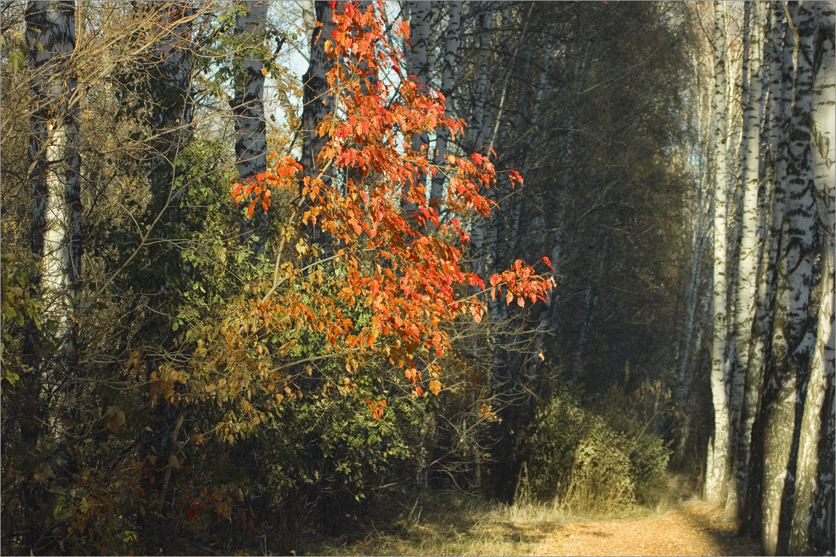 �����... ����� dedo ������. �� PhotoGeek.ru #������ ��� ������� #���������