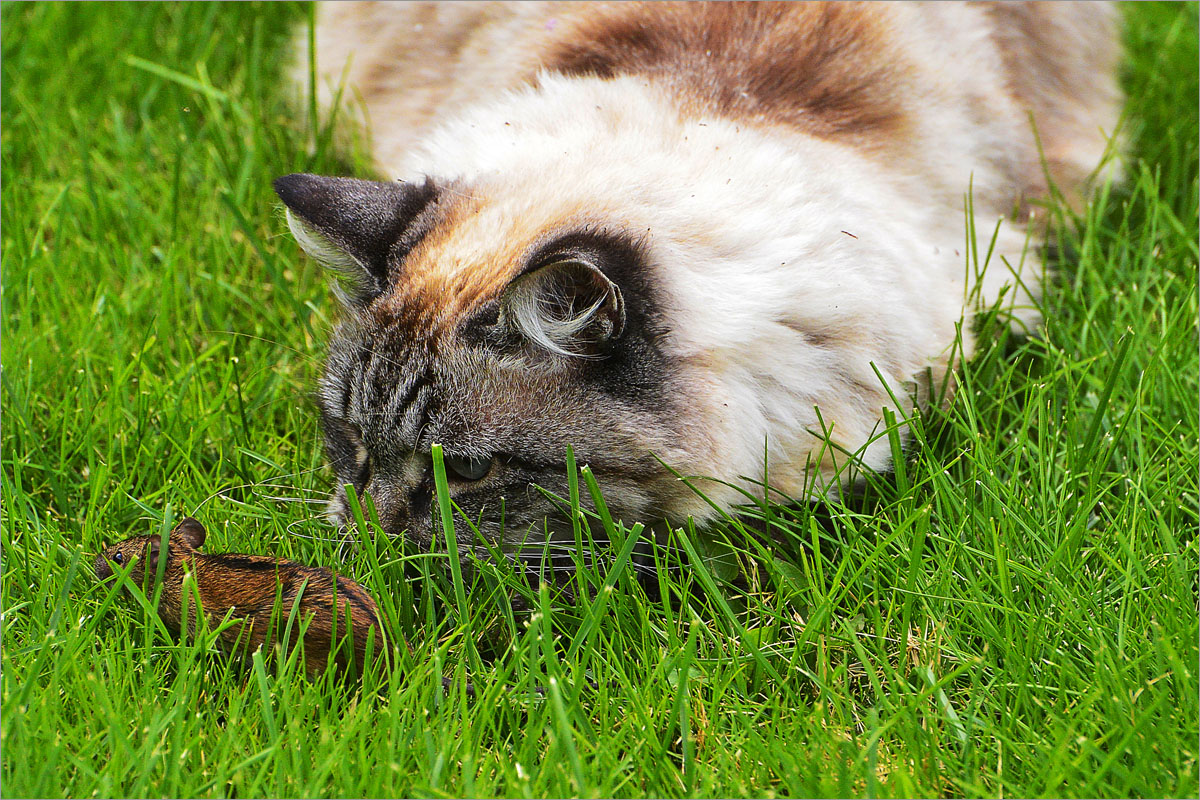 �����-����� ����� dedo ������. �� PhotoGeek.ru #�������� ��� #�������� ���