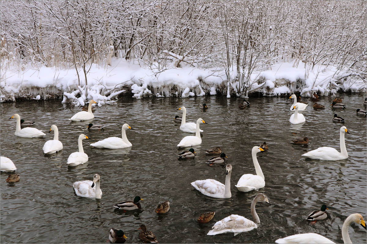 �����-17 ����� dedo ������. �� PhotoGeek.ru #�������� ��� #����� ��� ��� ���������