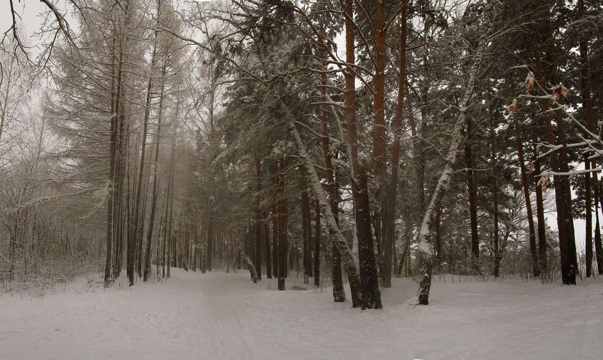 ������� �����.6 ����� dedo ������. �� PhotoGeek.ru #������ ��� ������� #���������