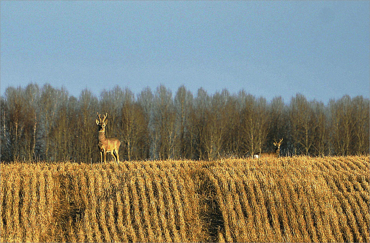 �� ��������... ����� dedo ������. �� PhotoGeek.ru #�������� ��� #����� ��� ��� ���������