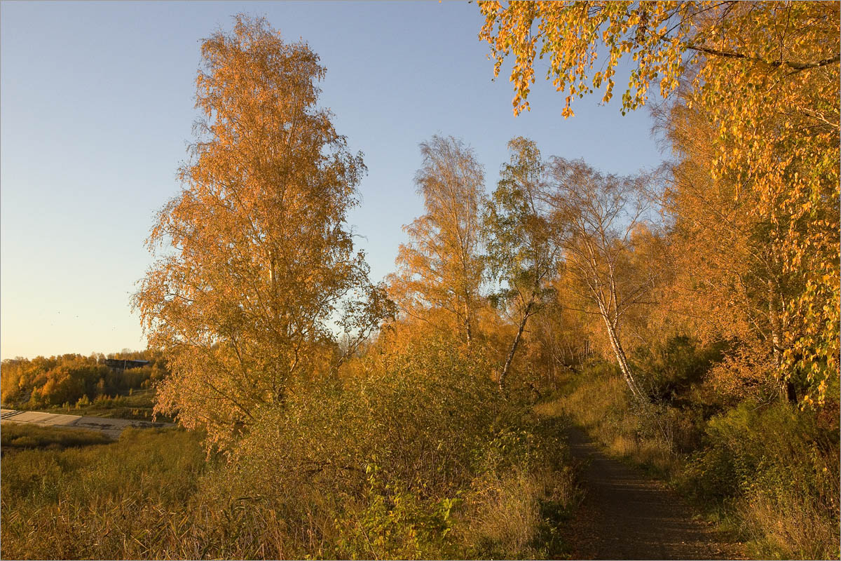 ������� ����������.. ����� dedo ������. �� PhotoGeek.ru #������ ��� ������� #���������