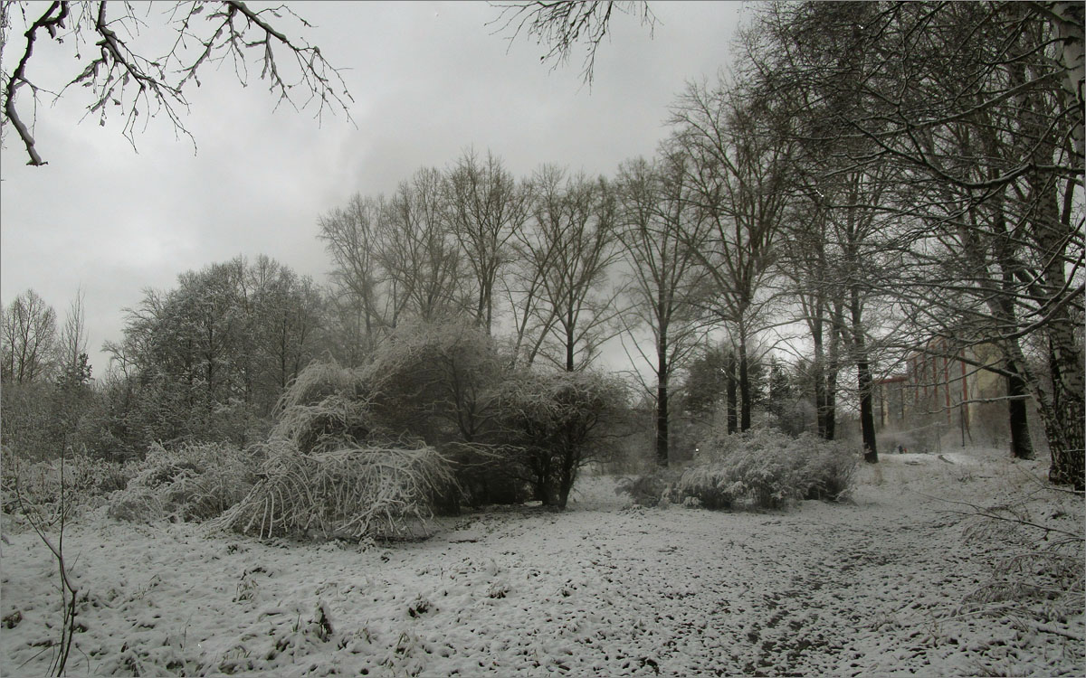 ����... ����� dedo ������. �� PhotoGeek.ru #������ ��� ������� #���������