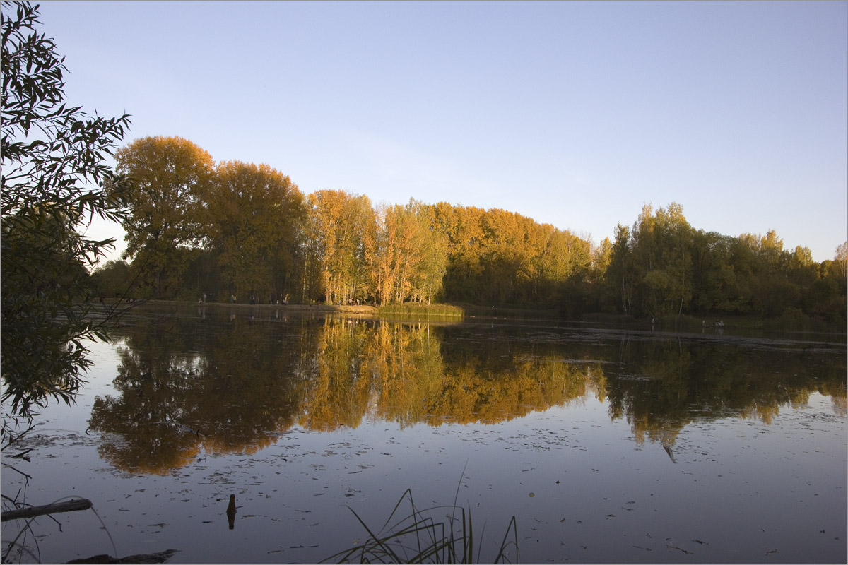 ���� ���������... ����� dedo ������. �� PhotoGeek.ru #������ ��� ������� #���������