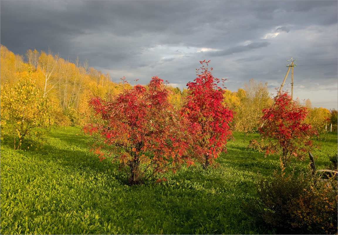 ��� � ����� ������.. ����� dedo ������. �� PhotoGeek.ru #������ ��� ������� #���������