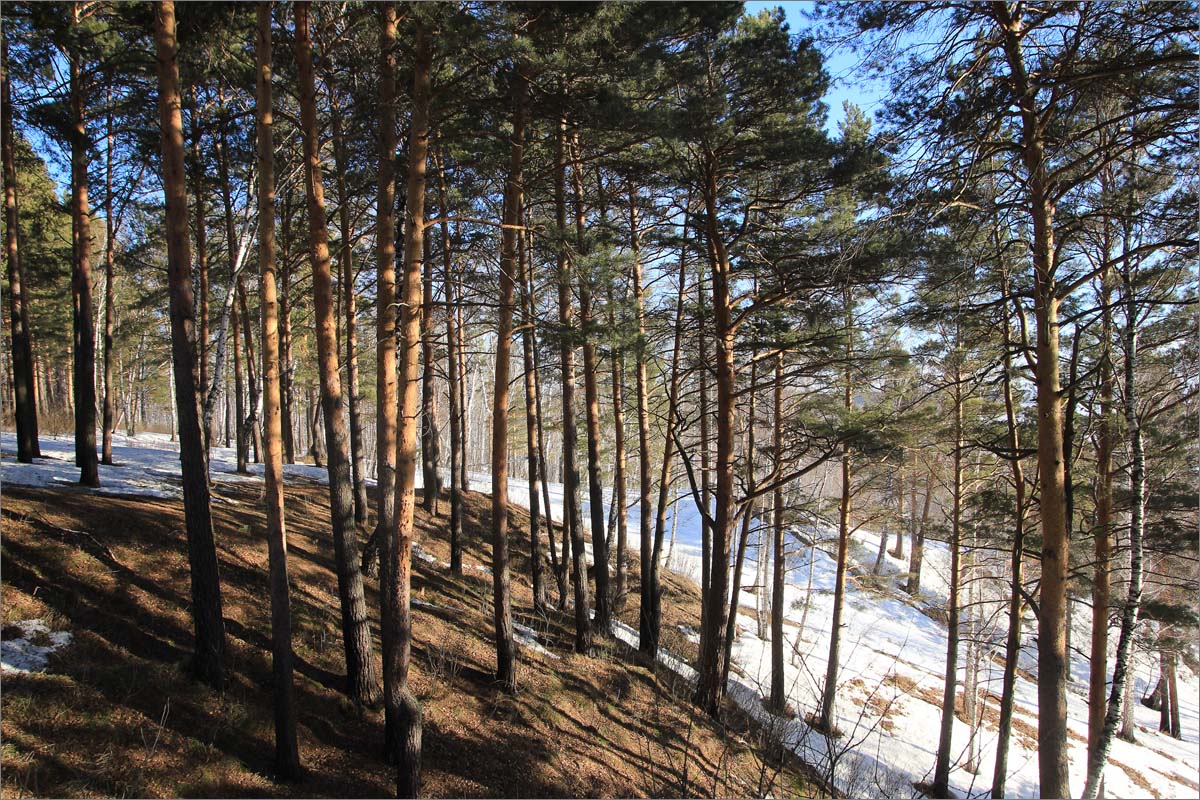������ ��������� ����� dedo ������. �� PhotoGeek.ru #������ ��� �������